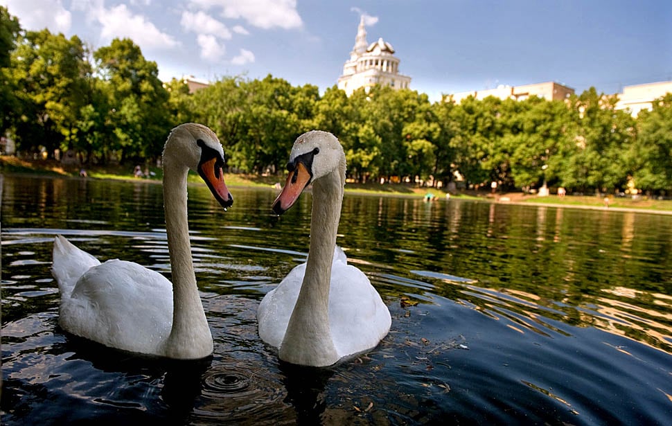 photo02 Фотоподборка дня: 19 июля