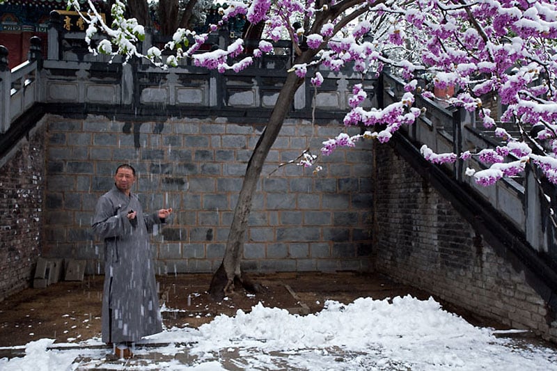 KungFu10 Кунг фу современного Шаолиня