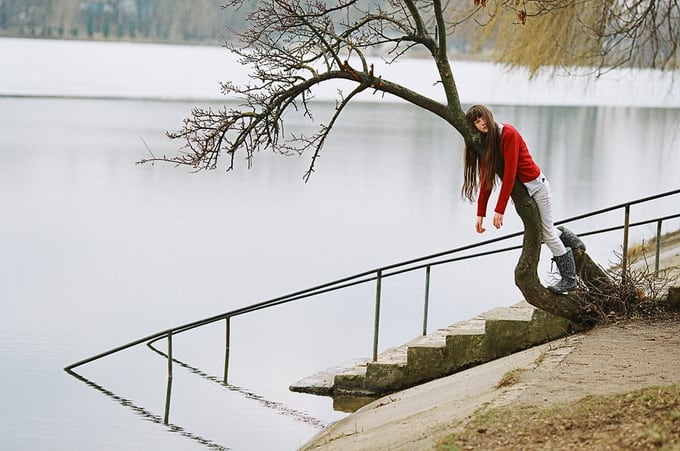 Synchrodogs04.jpg