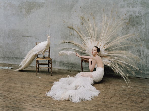jennifer-lawrence-tim-walker-w-magazine-03.jpg