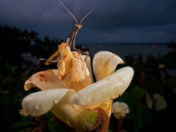 National Geographic: Фотографии недели | FreeYork