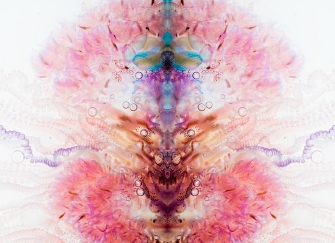 Zooids by Aaron Ansarov Zooids by Aaron Ansarov