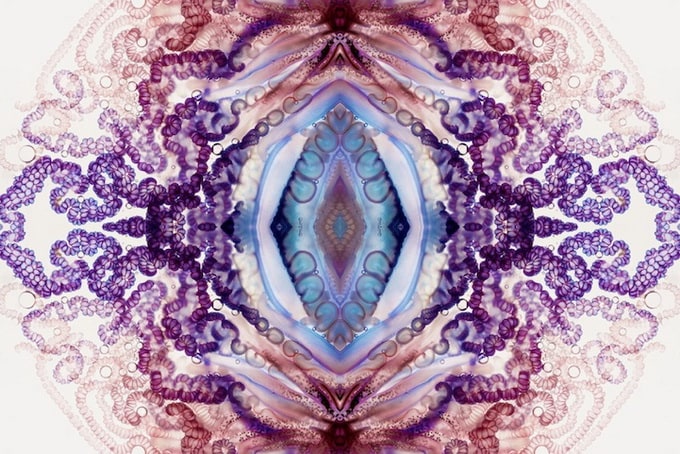 Zooids by Aaron Ansarov Zooids by Aaron Ansarov