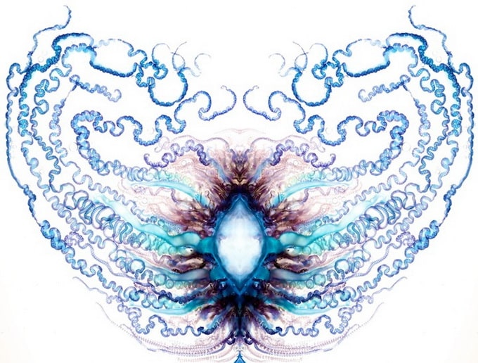 Zooids by Aaron Ansarov Zooids by Aaron Ansarov