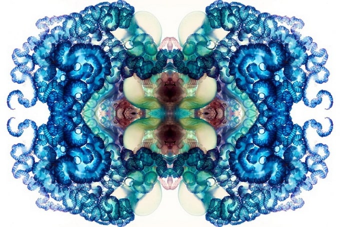 Zooids by Aaron Ansarov Zooids by Aaron Ansarov