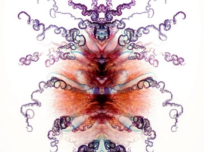 Zooids by Aaron Ansarov Zooids by Aaron Ansarov
