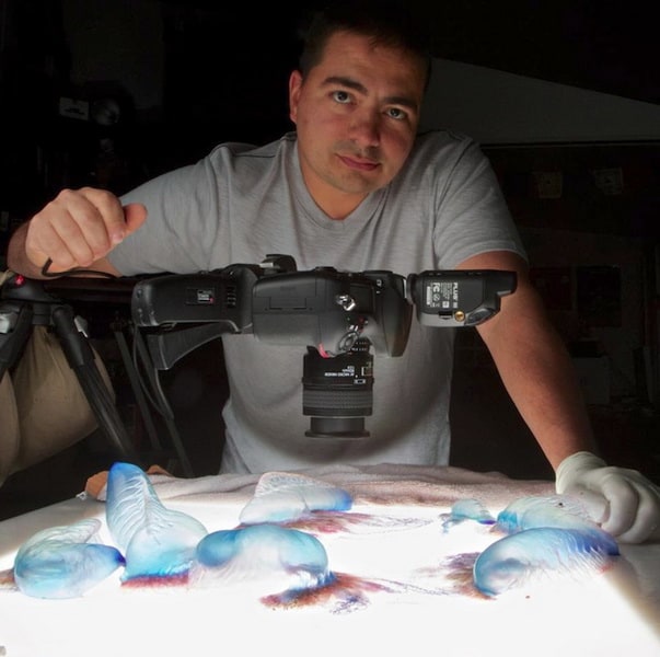 Zooids von Aaron Ansarov Zooids by Aaron Ansarov