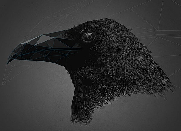 005-trigonal-meshes-animals-kaan-bagci