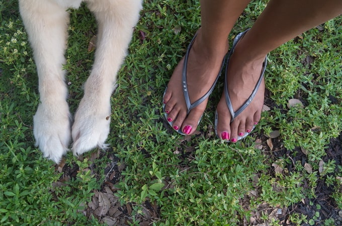 FEET&PAWS03