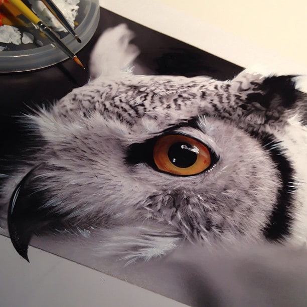 Hyperrealism with Pencil and Ink by Karla Mialynne