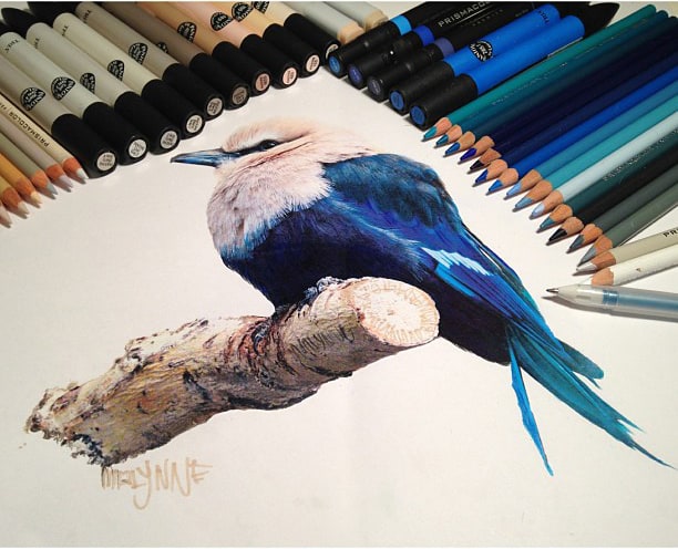 Hyperrealism with Pencil and Ink by Karla Mialynne