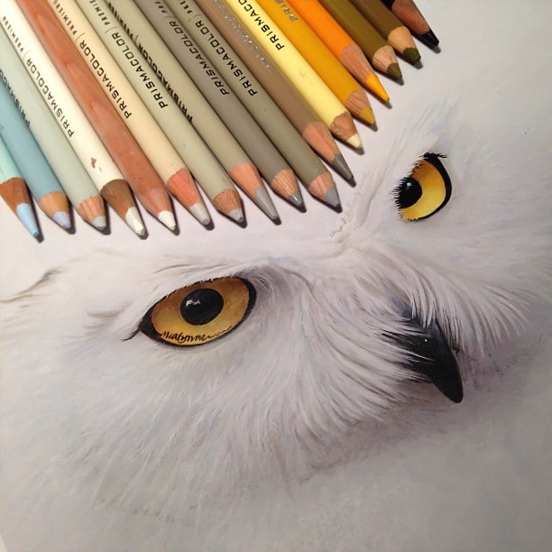 Hyperrealism with Pencil and Ink by Karla Mialynne