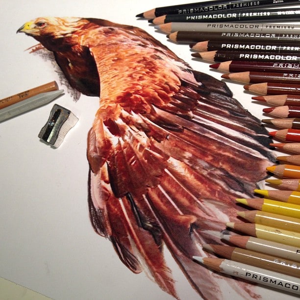 Hyperrealism with Pencil and Ink by Karla Mialynne