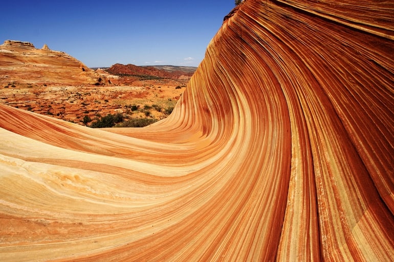 The 15 Craziest Things In Nature You Won’t Believe Actually Exist the 15 craziest things in nature you wont believe actually exist 10 The 15 Craziest Things In Nature You Won’t Believe Actually Exist