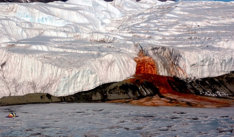 The 15 Craziest Things In Nature You Won’t Believe Actually Exist the 15 craziest things in nature you wont believe actually exist 12 The 15 Craziest Things In Nature You Won’t Believe Actually Exist