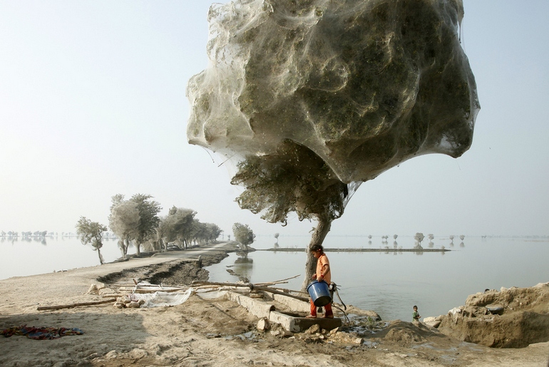 The 15 Craziest Things In Nature You Won’t Believe Actually Exist the 15 craziest things in nature you wont believe actually exist 13 The 15 Craziest Things In Nature You Won’t Believe Actually Exist