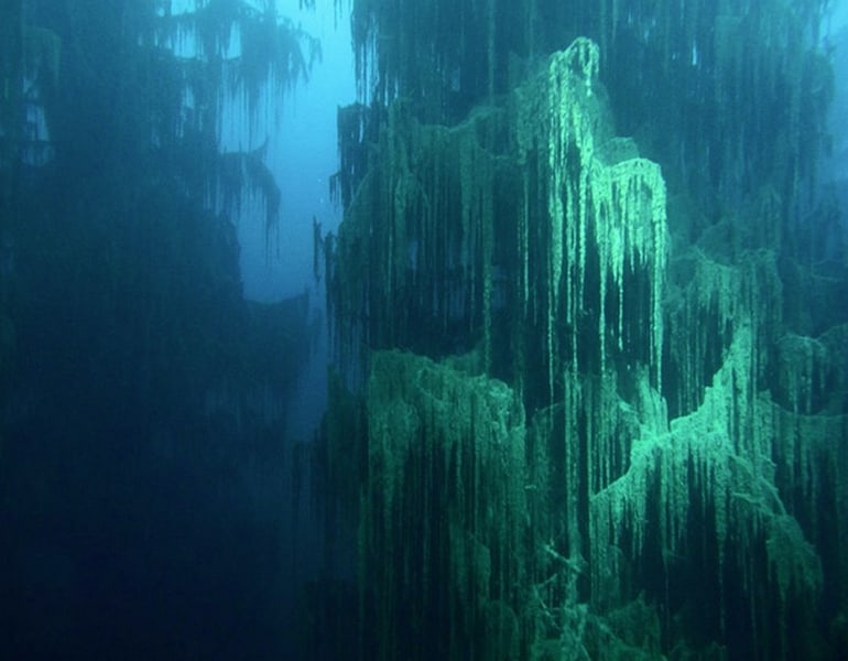 The 15 Craziest Things In Nature You Won’t Believe Actually Exist the 15 craziest things in nature you wont believe actually exist 15 2 The 15 Craziest Things In Nature You Won’t Believe Actually Exist
