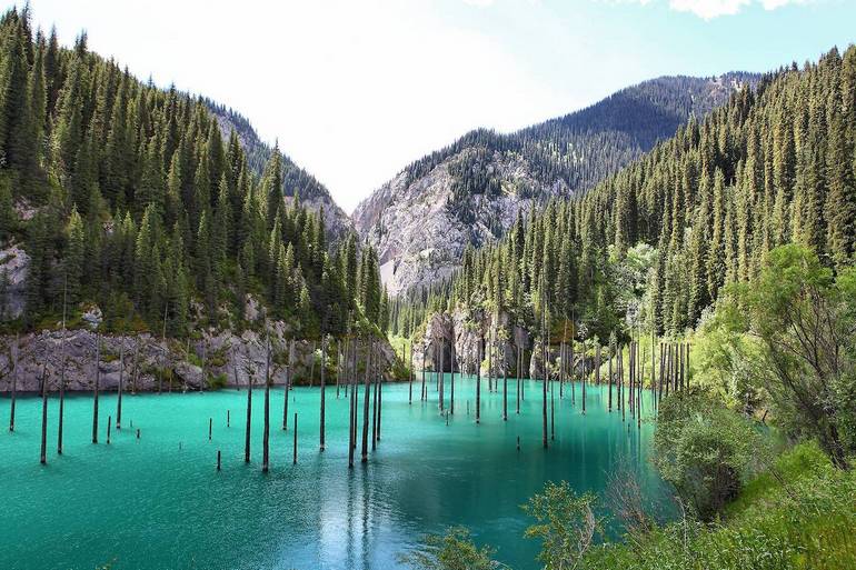 The 15 Craziest Things In Nature You Won’t Believe Actually Exist the 15 craziest things in nature you wont believe actually exist 15 The 15 Craziest Things In Nature You Won’t Believe Actually Exist