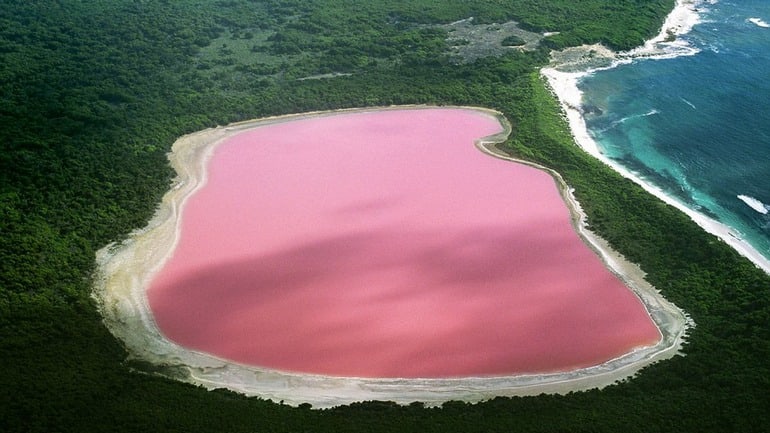 The 15 Craziest Things In Nature You Won’t Believe Actually Exist the 15 craziest things in nature you wont believe actually exist 16 The 15 Craziest Things In Nature You Won’t Believe Actually Exist