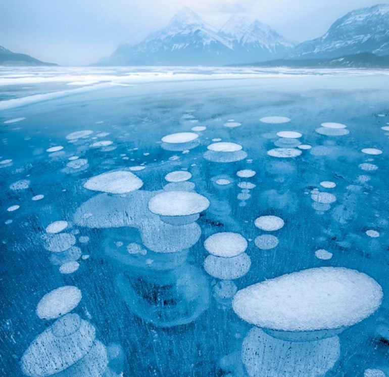 The 15 Craziest Things In Nature You Won’t Believe Actually Exist the 15 craziest things in nature you wont believe actually exist 3 The 15 Craziest Things In Nature You Won’t Believe Actually Exist
