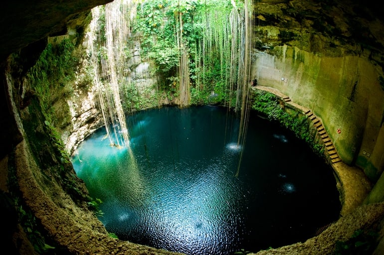 The 15 Craziest Things In Nature You Won’t Believe Actually Exist the 15 craziest things in nature you wont believe actually exist 4 The 15 Craziest Things In Nature You Won’t Believe Actually Exist
