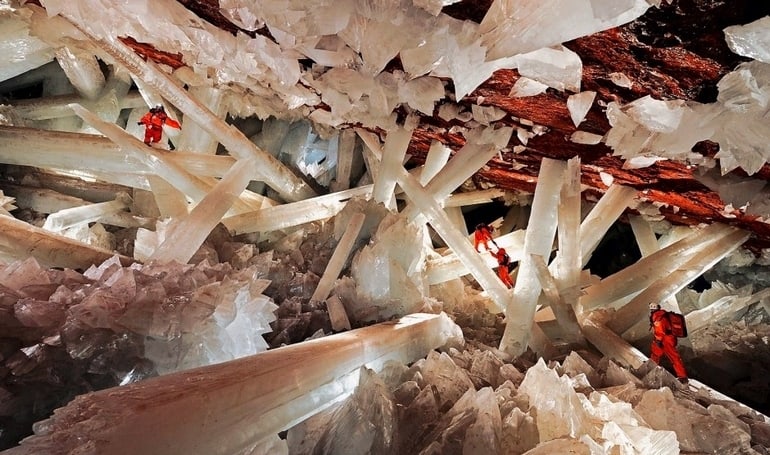 The 15 Craziest Things In Nature You Won’t Believe Actually Exist the 15 craziest things in nature you wont believe actually exist 5 The 15 Craziest Things In Nature You Won’t Believe Actually Exist