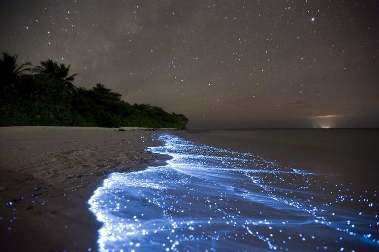 The 15 Craziest Things In Nature You Won’t Believe Actually Exist the 15 craziest things in nature you wont believe actually exist 6 The 15 Craziest Things In Nature You Won’t Believe Actually Exist