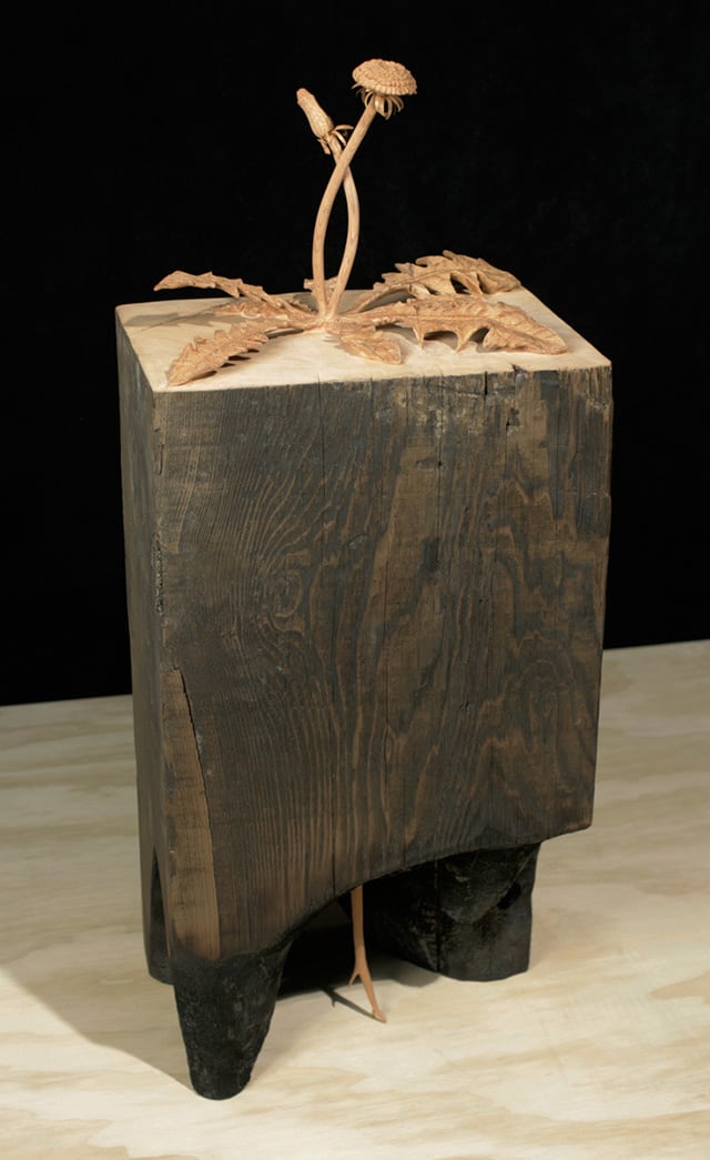 SCULPTURE-HYPER-REALISTIC-WOOD-WORKS-by-Dan-Webb-06