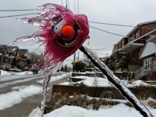 A+frozen+and+icy+stuffed+animal.+-+The+30+Most+Amazing+Photos+Of+Frozen+Things+In+Honor+Of+The+Coldest+Morning+Of+The+21st+Century