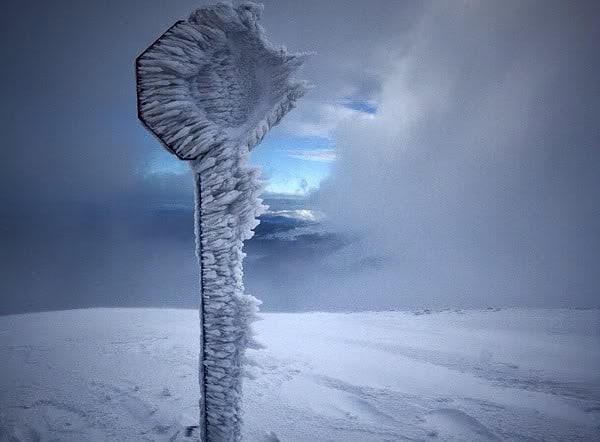 A+frozen+stop+sign+in+Russia.+-+The+30+Most+Amazing+Photos+Of+Frozen+Things+In+Honor+Of+The+Coldest+Morning+Of+The+21st+Century