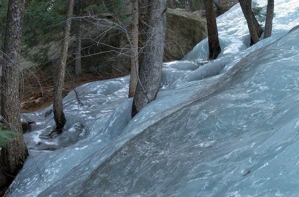 Flash-frozen+waters+in+the+forest.+-+The+30+Most+Amazing+Photos+Of+Frozen+Things+In+Honor+Of+The+Coldest+Morning+Of+The+21st+Century