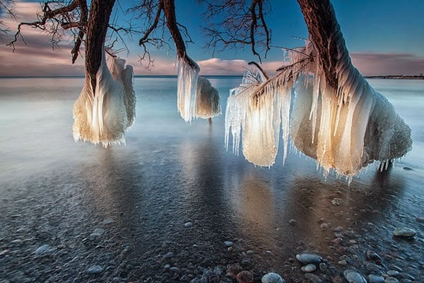Frozen+trees+near+Lake+Michigan.+-+The+30+Most+Amazing+Photos+Of+Frozen+Things+In+Honor+Of+The+Coldest+Morning+Of+The+21st+Century