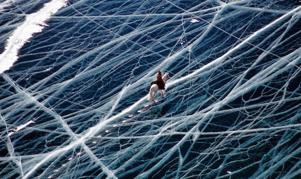 The+bravest+horse+of+all+time+takes+on+the+frozen+ocean.+-+The+30+Most+Amazing+Photos+Of+Frozen+Things+In+Honor+Of+The+Coldest+Morning+Of+The+21st+Century