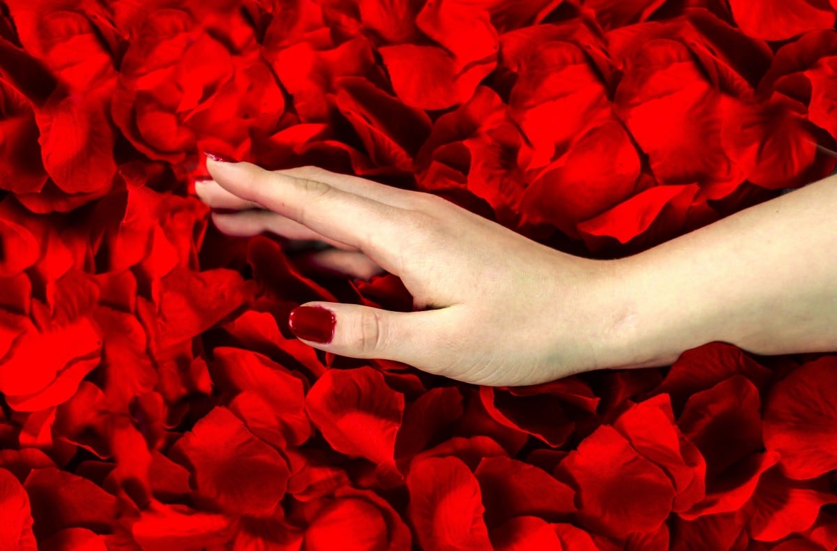 American Beauty