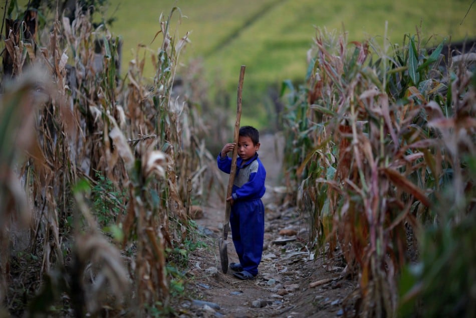 A North Korean boy holds a spade in a corn field in area damaged by floods and typhoons in the Soksa-Ri collective farm in the South Hwanghae province September 29, 2011. (Photo by Damir Sagolj/Reuters)