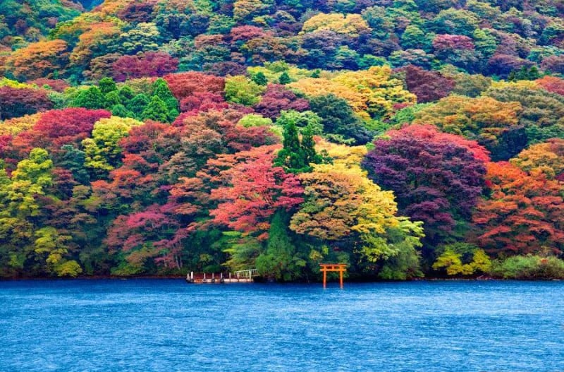 4-lake-Ashi.jpg