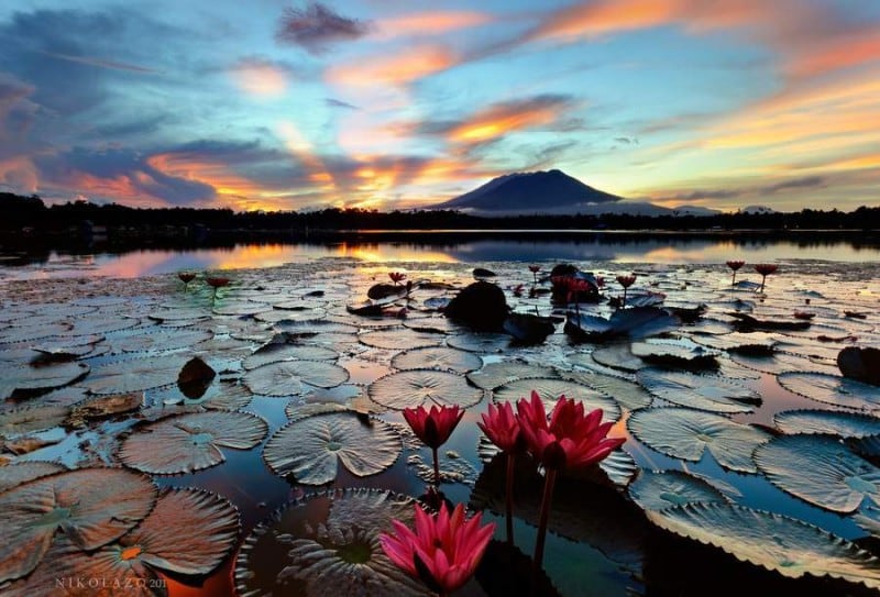 8-Sampaloc-lake.jpg