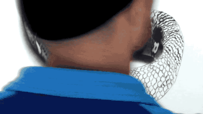 Snake5