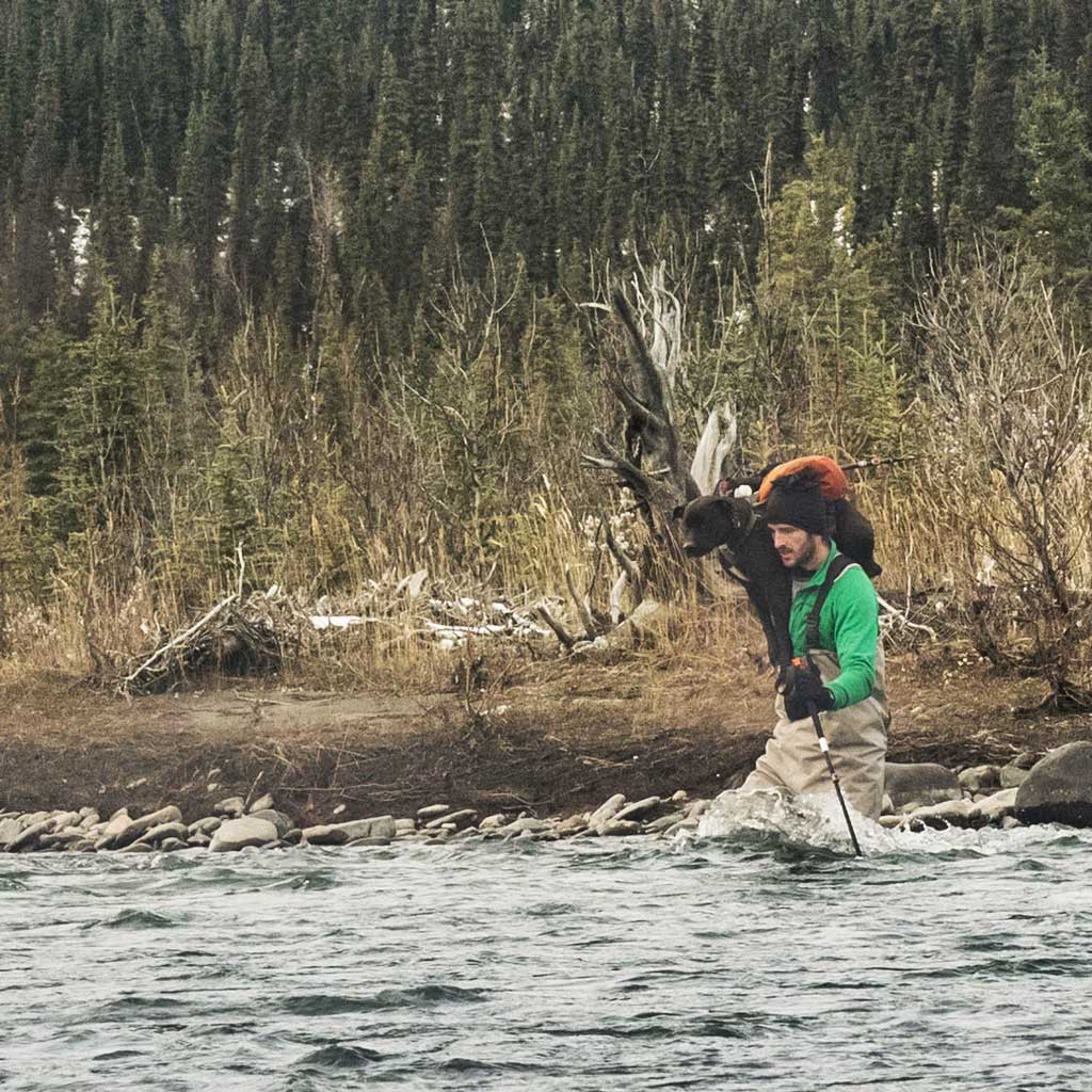 I set up the Camera and then went back to carry Bobby across the Teklanika River.