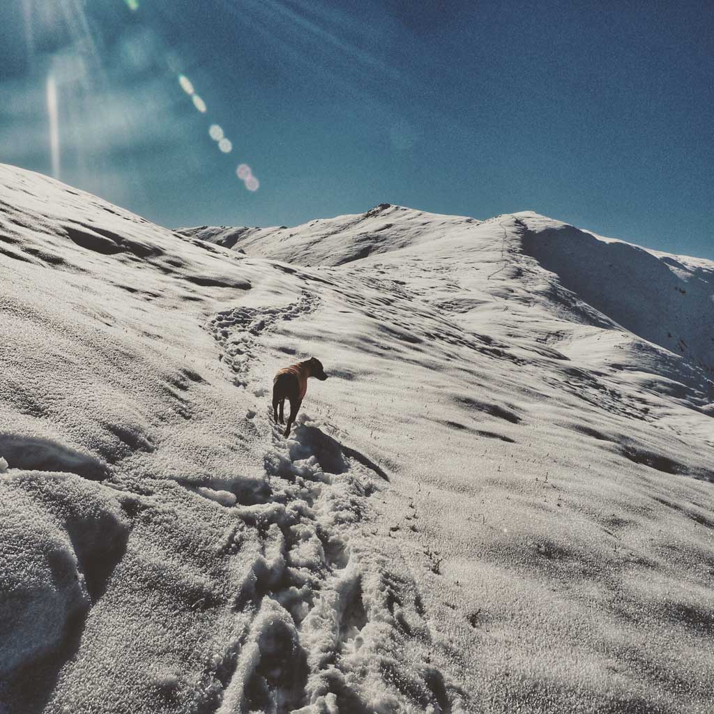 Hiking up Pioneer Ridge Trail in Alaska