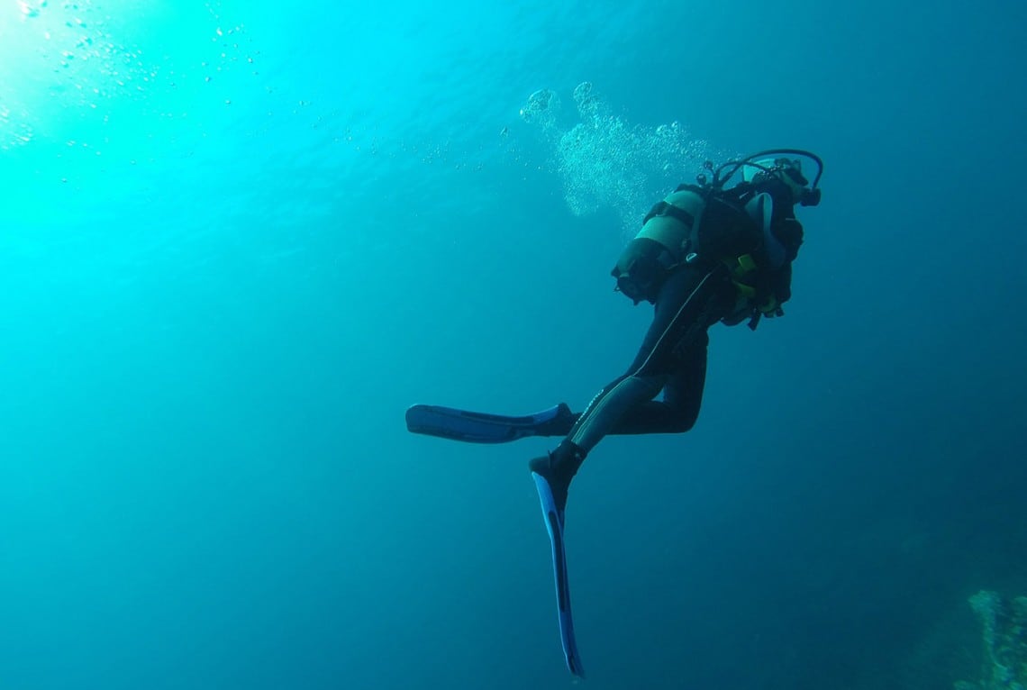college essay about scuba diving college essay about scuba diving