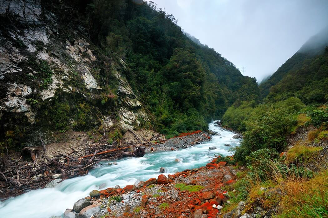new-zealand-fy-13.jpg