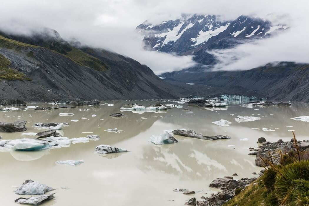 new-zealand-fy-18.jpg