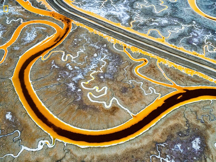 Chris McCann/2016 National Geographic Nature Photographer of the Year. Outside Facebook HQ. 2nd Place—Environmental Issues: Eighty percent of the San Francisco Bay Area wetlands—16,500 acres—has been developed for salt mining. Water is channeled into these large ponds, leaves through evaporation, and the salt is then collected. The tint of each pond is an indication of its salinity. Microorganisms inside the pond change color according to the salinity of its environment. This high-salinity salt pond is located right next to Facebook headquarters, where about 4,000 people work every day.