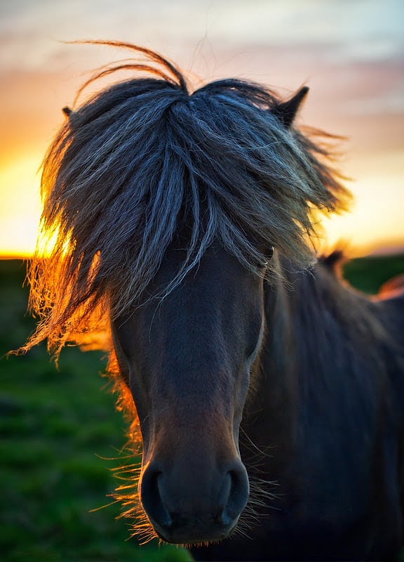 3538 fantastic collection of hdr photos