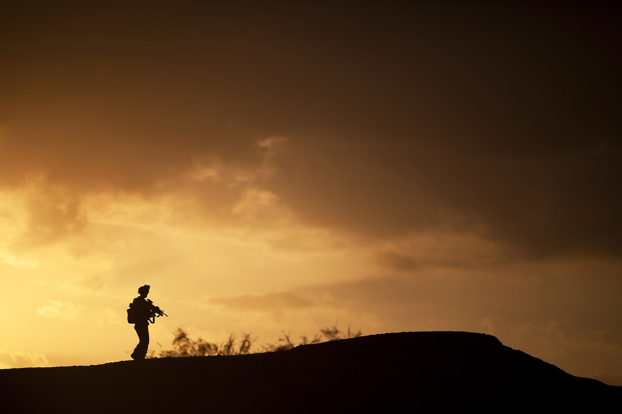 Lone soldier FREEYORK