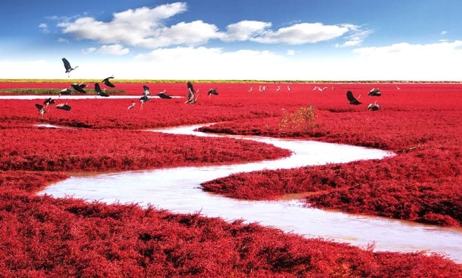 red-beach-china