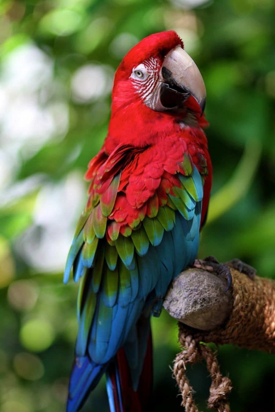 birdie07