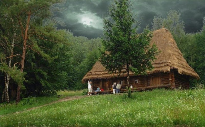 Top 10 Most Beautiful  Forest  Houses  FREEYORK