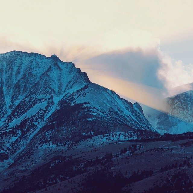 Instagram of Jordan Herschel FREEYORK